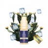 E-liquide Fleur De Cactus Givrée 10ml - Le Pod by Pulp