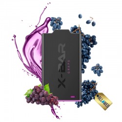 POD X-SHISHA Cartridge (X2) - Grape