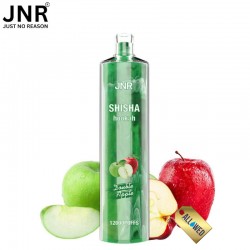 Puff Shisha Double Apple 12000 puffs - JNR