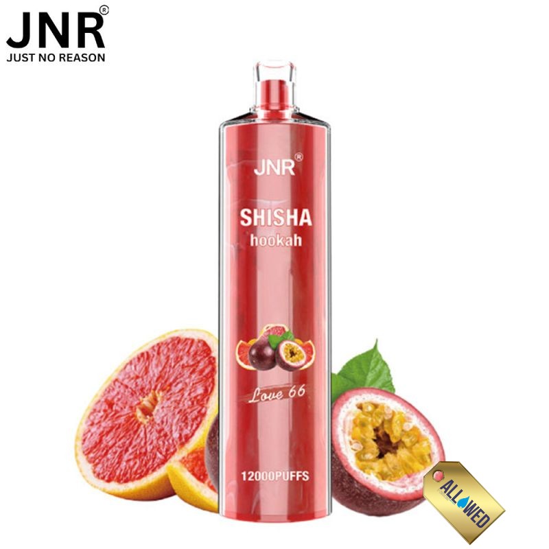 elfbar elfa kaufen Puff Shisha Love 66 12000 puffs