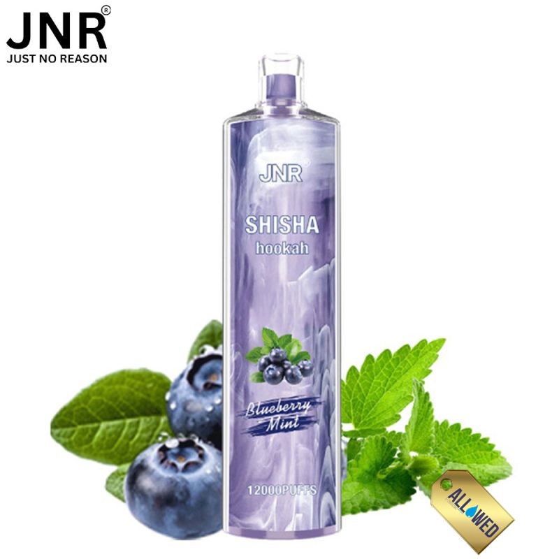 Puff Shisha Blueberry Mint 12000 puffs - JNR - E-cigarette Suisse