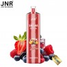 Puff Shisha Mix Berry Ice 12000 puffs - JNR