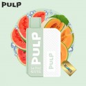 Starter Kit Pastèque - Melon Givré  2ml - Pod Flip by Pulp