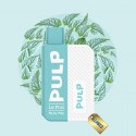 Starter Kit Menthe Polaire  2ml - Pod Flip by Pulp