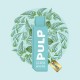 Cartouche Menthe Polaire  2ml - Pod Flip by Pulp