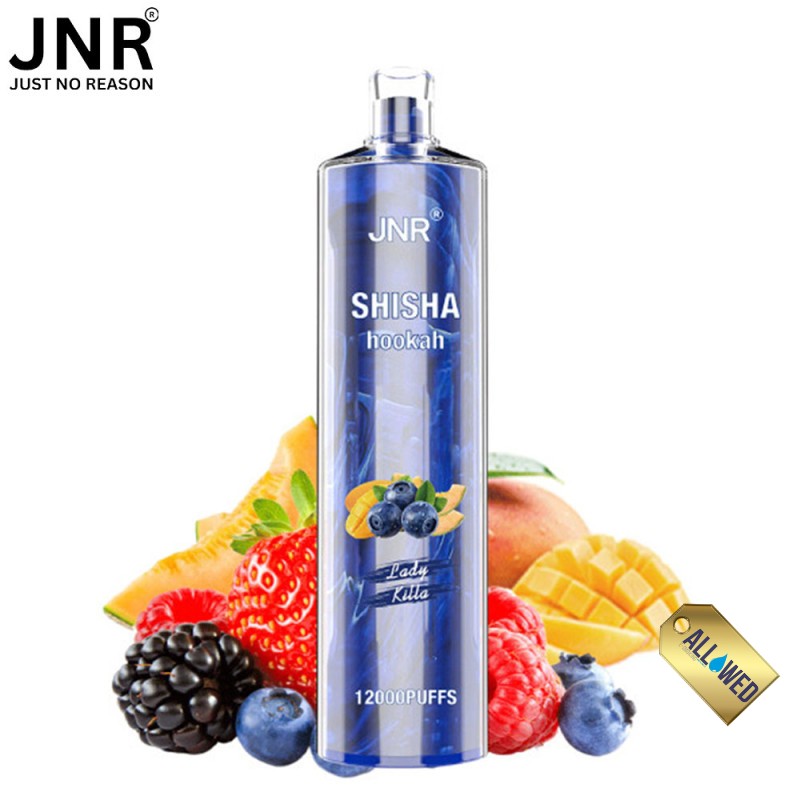 elfbar elfa master akku 22000 Puff Shisha Hookah Lady Killa 20mg- JNR Disposable Vape main image 1