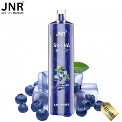 Puff Shisha Blueberry Ice 12000 puffs - JNR