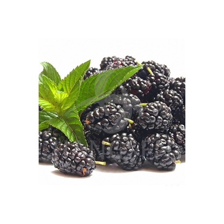 E-liquid Hngsen blackberry
