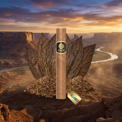 Cartouche Pré-remplie 20mg  - XO Havana