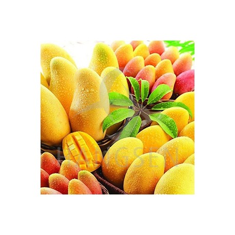 E-liquid Hangsen Mango 