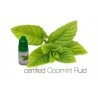 E-liquid Insmoke Mint